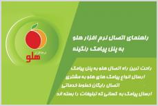 راهنمای اتصال نرم افزار حسابداری هلو به پنل پیامک رنگینه